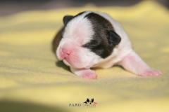 MG_7477-scaled